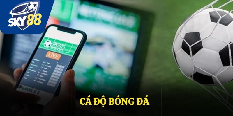 Cá Độ Bóng Đá: Cẩm Nang Chi Tiết Cho Người Mới Bắt Đầu