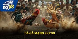 Đá Gà Mạng: Trải Nghiệm Cá Cược Và Cơ Hội Kiếm Tiền Đỉnh Cao