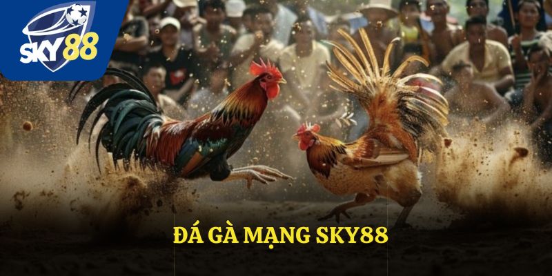 Đá Gà Mạng: Trải Nghiệm Cá Cược Và Cơ Hội Kiếm Tiền Đỉnh Cao