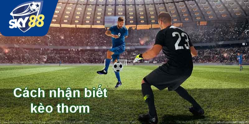 Các dấu hiệu nhận biết kèo thơm tại Sky88