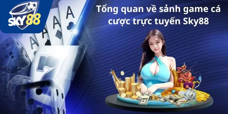 Giới thiệu về chúng tôi nhà cái Sky88